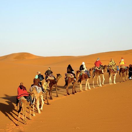 Sahara Camel Tours Camp Hotel Merzouga Eksteriør billede