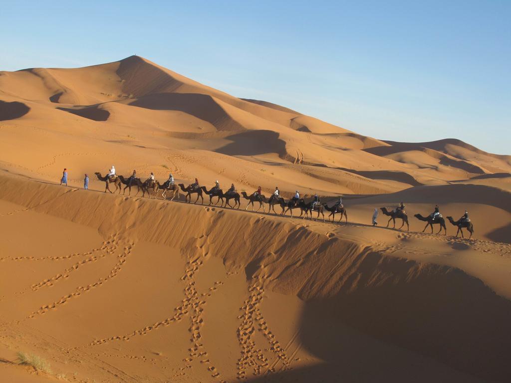Sahara Camel Tours Camp Hotel Merzouga Værelse billede