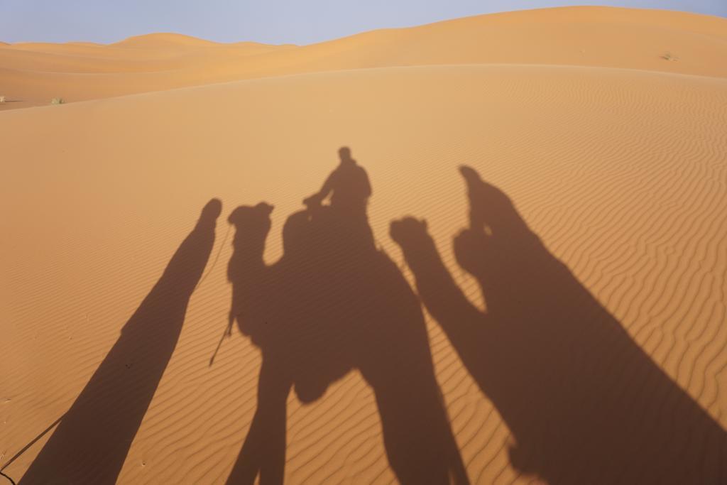Sahara Camel Tours Camp Hotel Merzouga Værelse billede