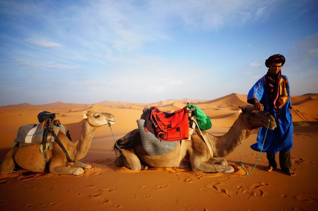 Sahara Camel Tours Camp Hotel Merzouga Eksteriør billede