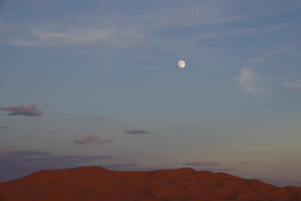 Sahara Camel Tours Camp Hotel Merzouga Eksteriør billede