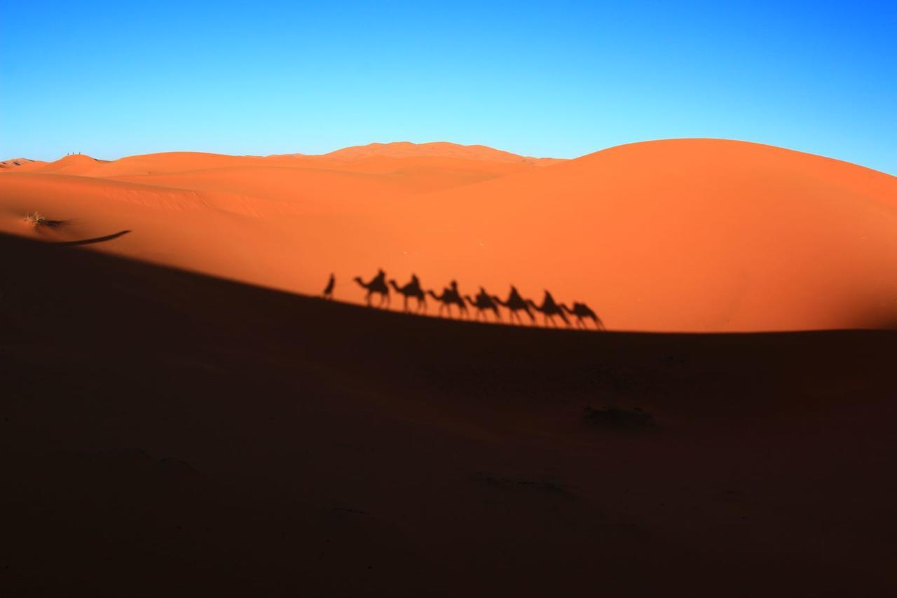 Sahara Camel Tours Camp Hotel Merzouga Eksteriør billede
