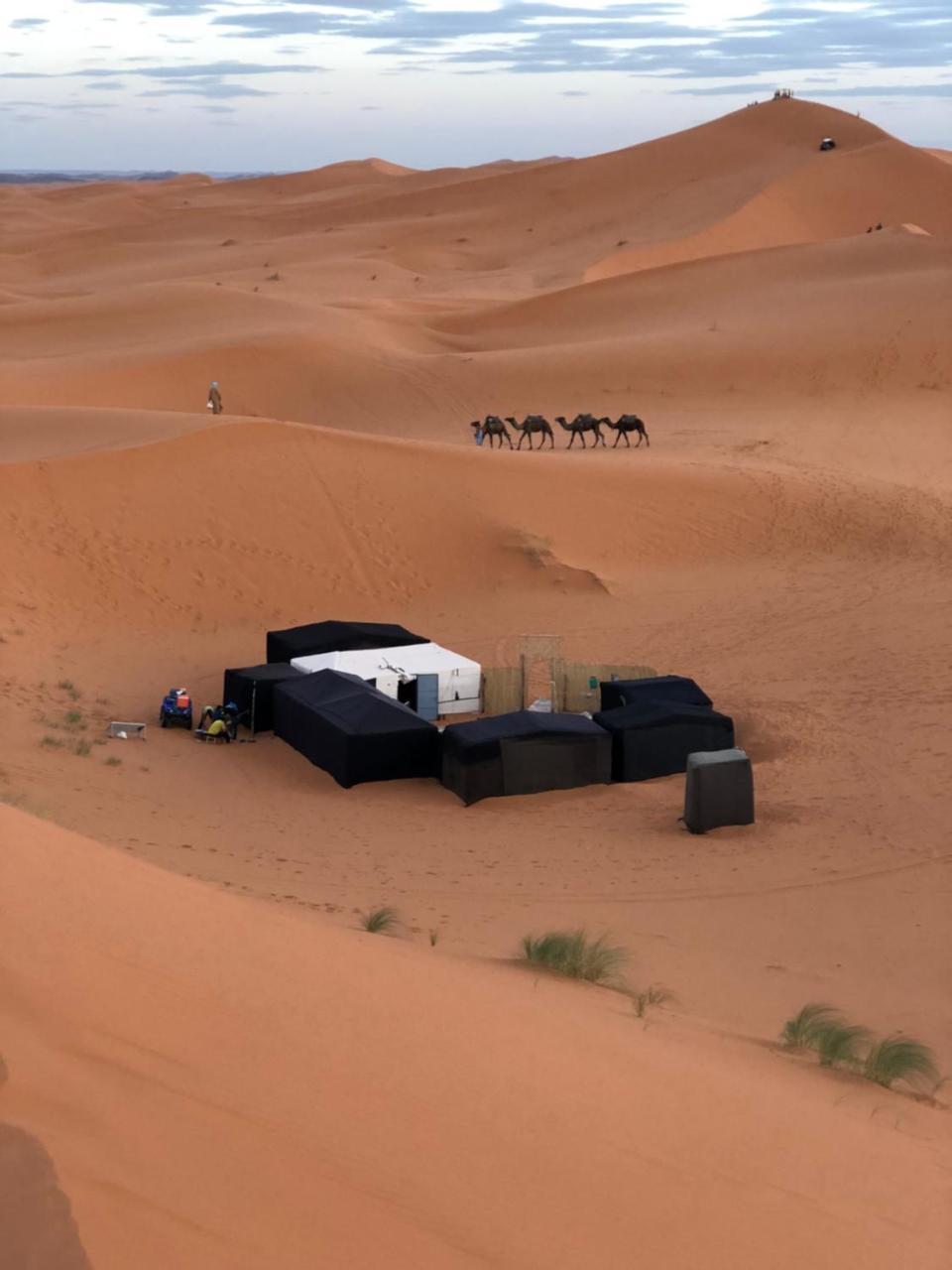 Sahara Camel Tours Camp Hotel Merzouga Eksteriør billede