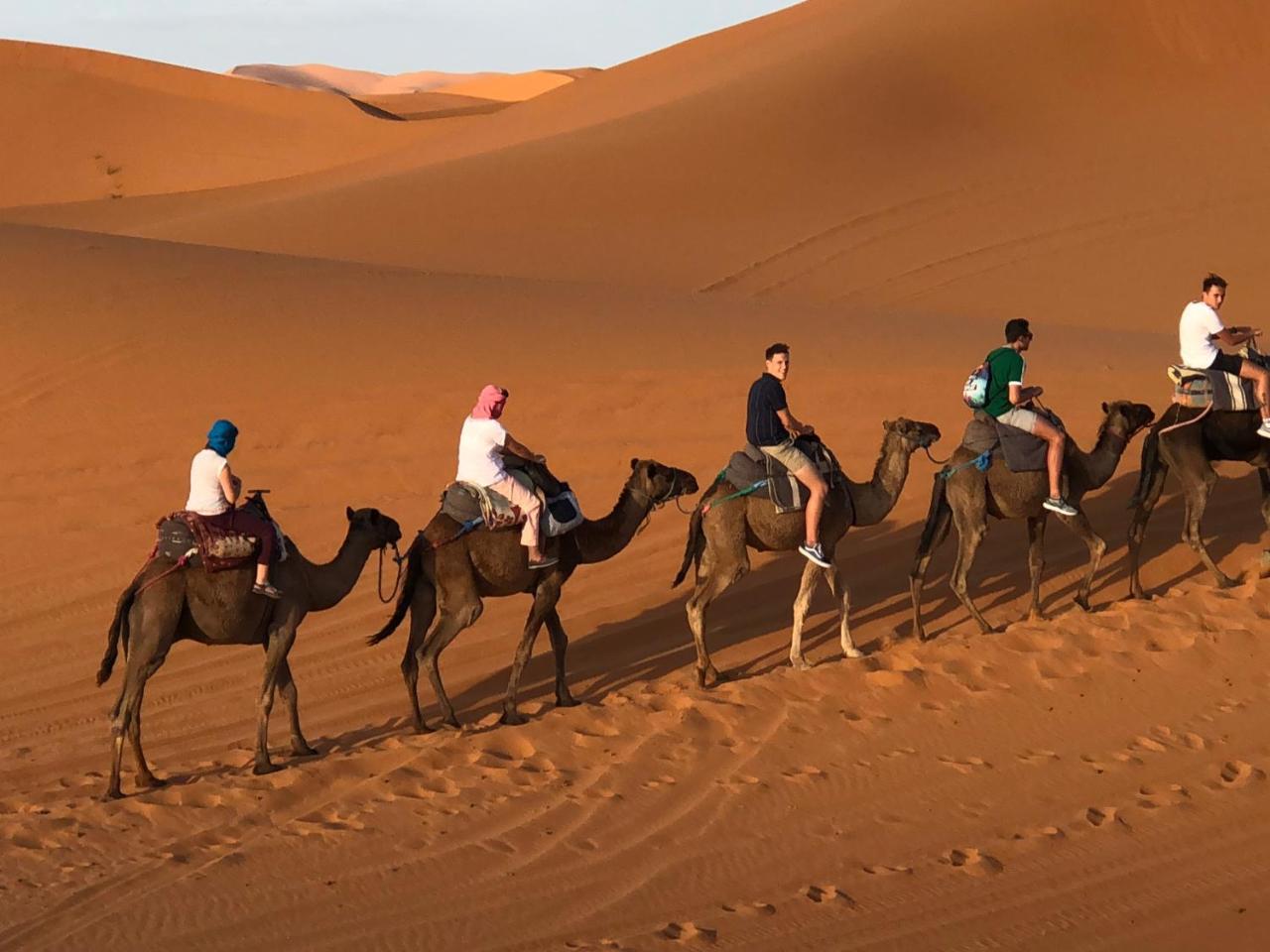 Sahara Camel Tours Camp Hotel Merzouga Eksteriør billede